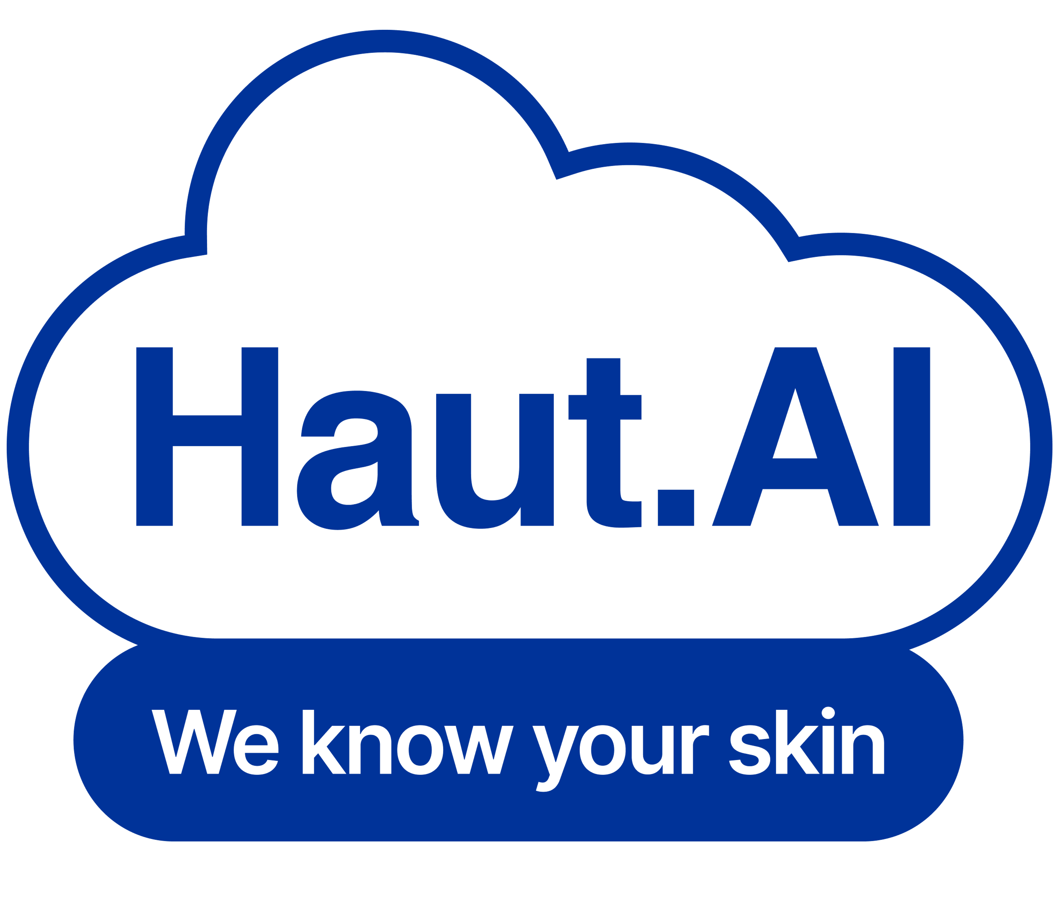 Logo Haut AI